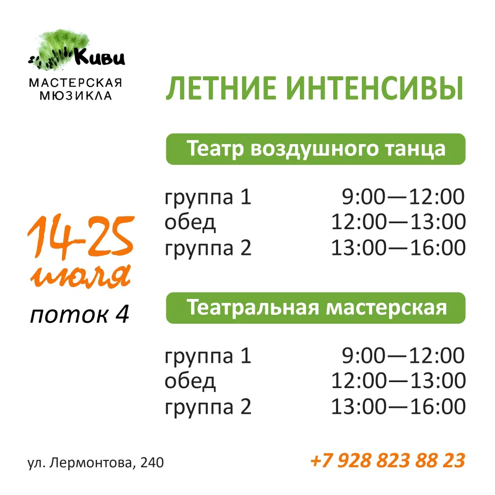 Интенсив мастерской "Киви", Театр воздушного танца, поток 4