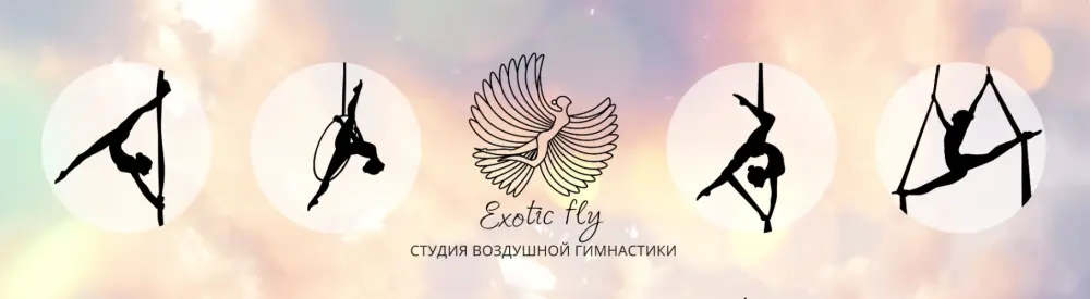 Спортивные сборы студия воздушной гимнастики «Exotic fly»