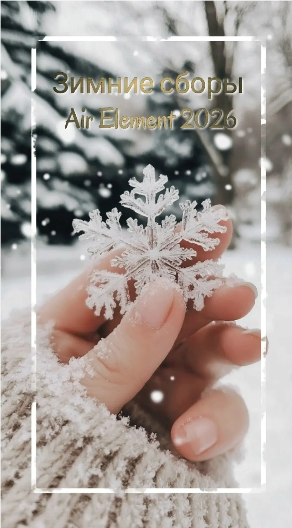 Зимние сборы Air Element 2026