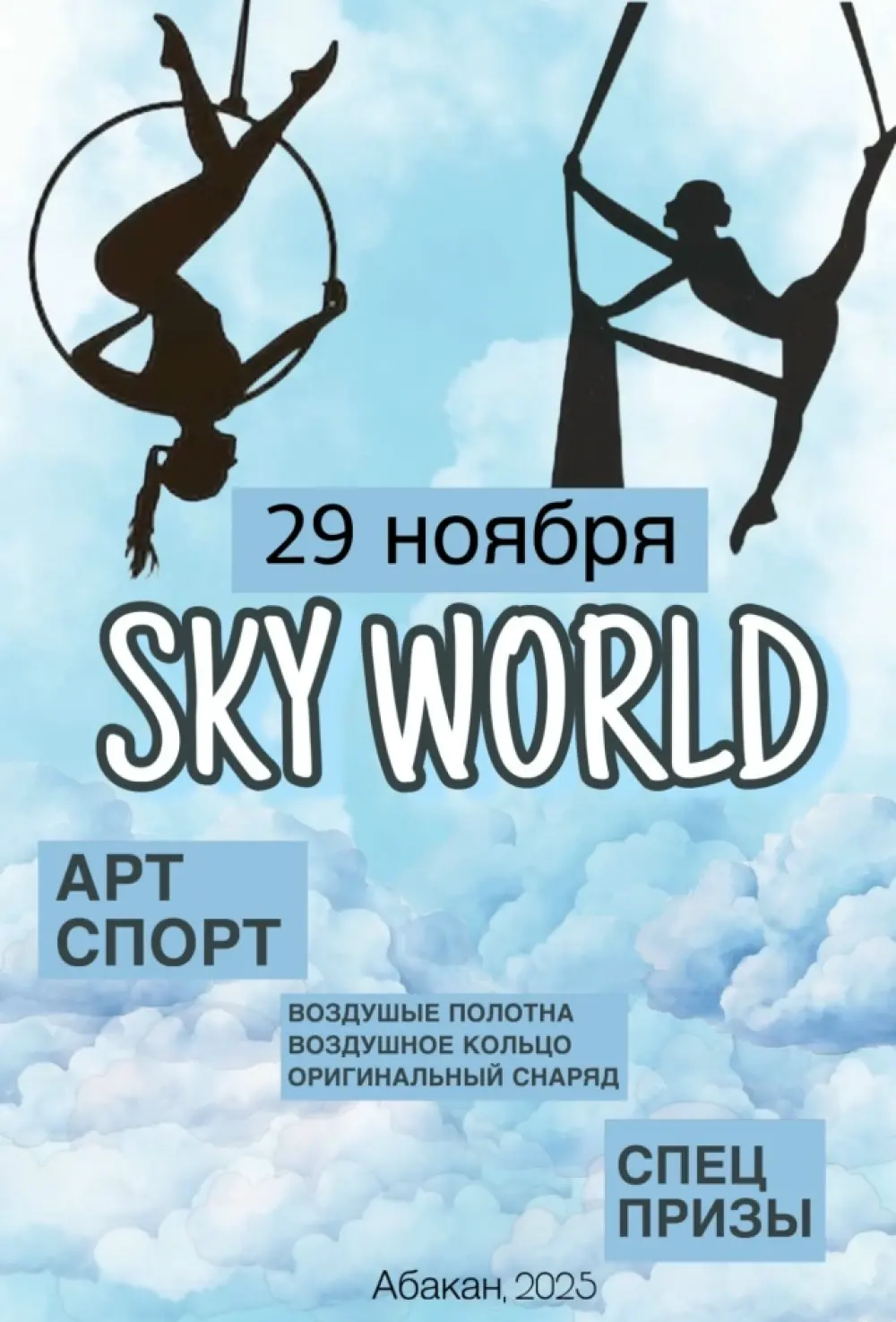 Фестиваль воздушной гимнастики «Sky world»