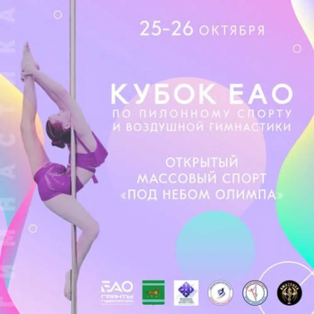 Кубок ЕАО по пилонному спорту и воздушной гимнастике