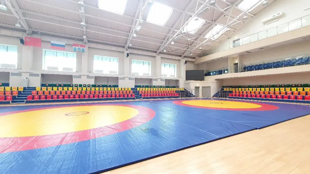Спортивный фестиваль по воздушной гимнастике "Крылья таланта"