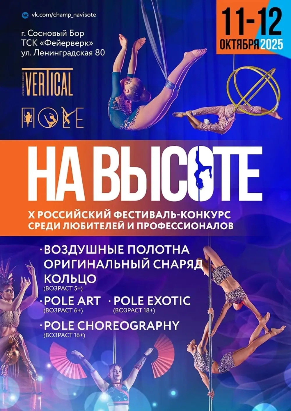 X фестиваль среди любителей и профессионалов «На высоте»