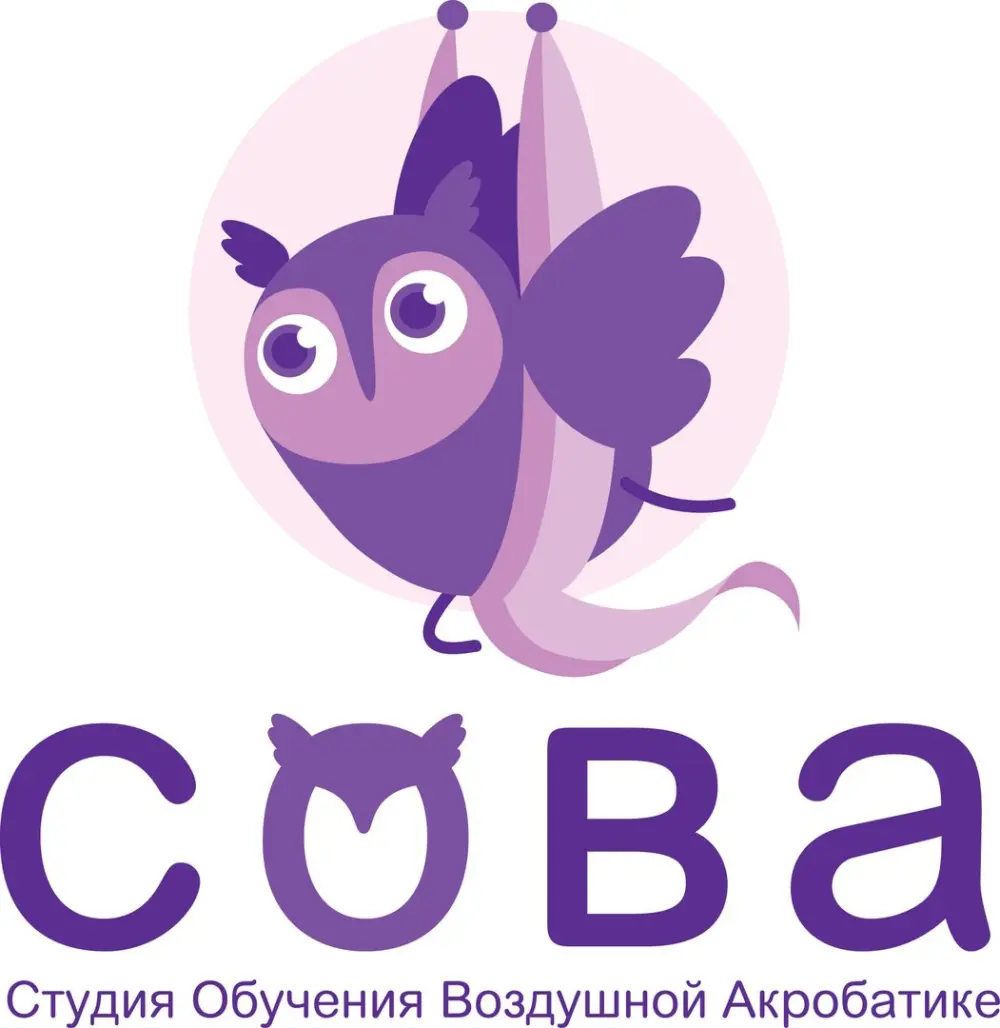 Студия обучения воздушной акробатике "Сова"