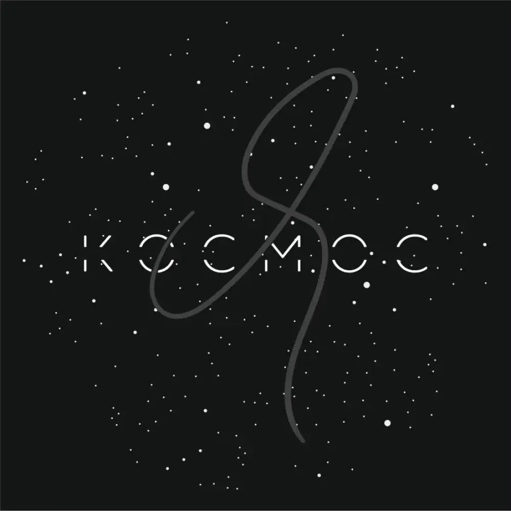 Студия воздушной гимнастики и растяжки "Якосмос"