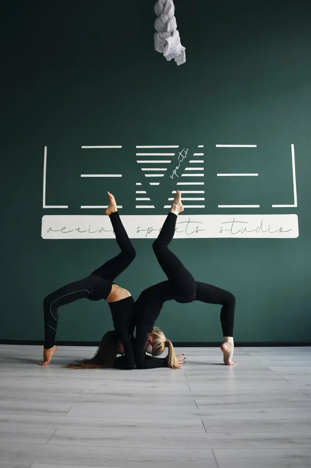 Aerial sports and dance studio "Level Sport"