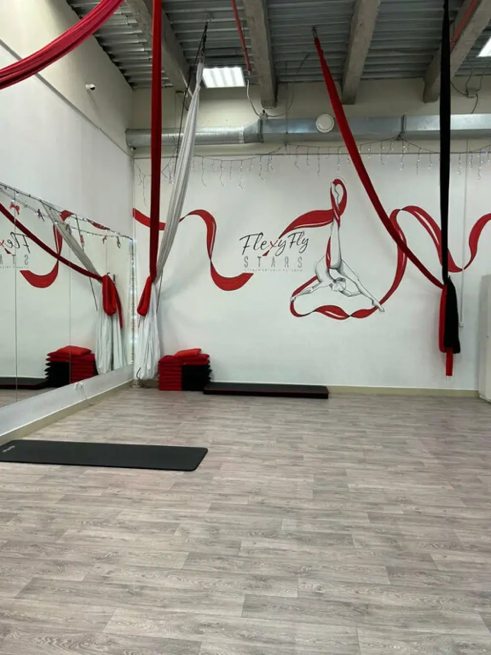 FlexyFly (филиал на Меркурьева)