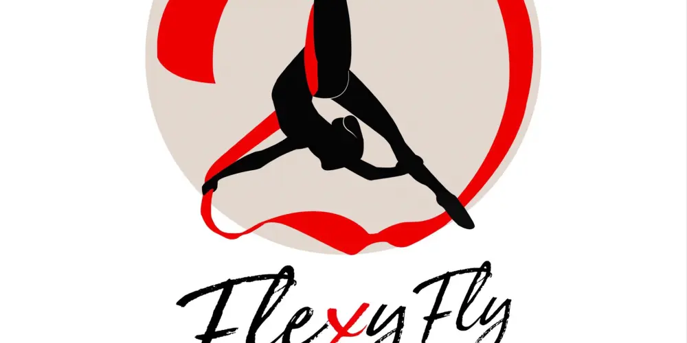 FlexyFly (филиал на Меркурьева)