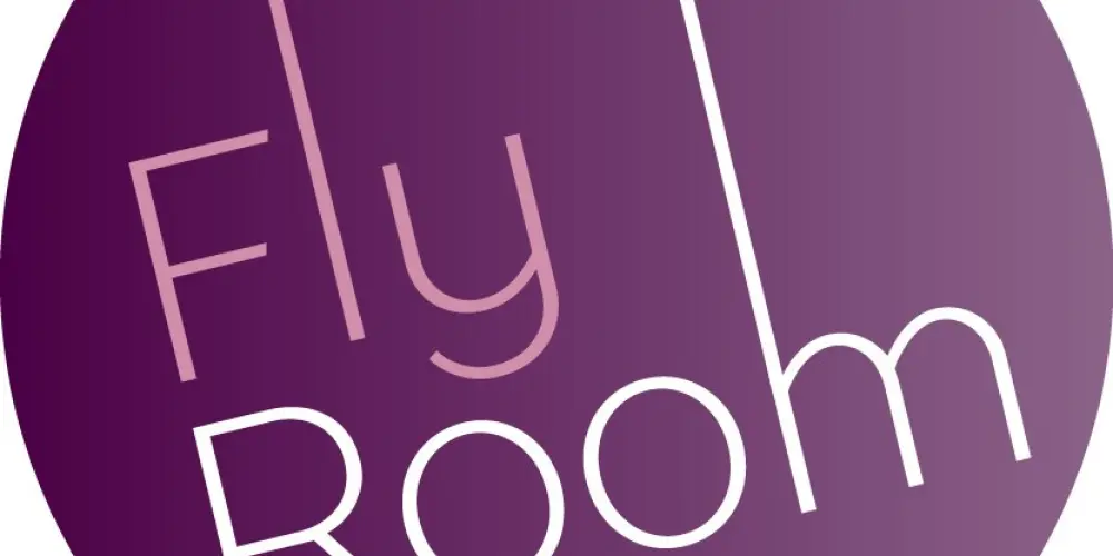 FlyRoom