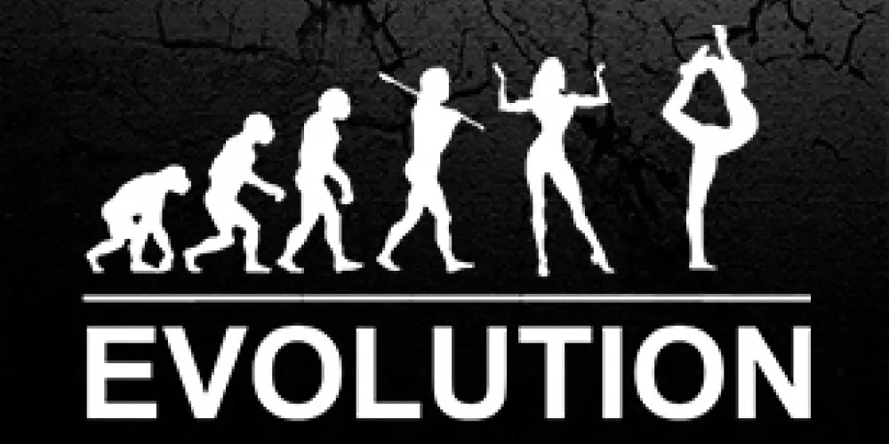 Школа воздушной гимнастики и фитнеса "Evolution"