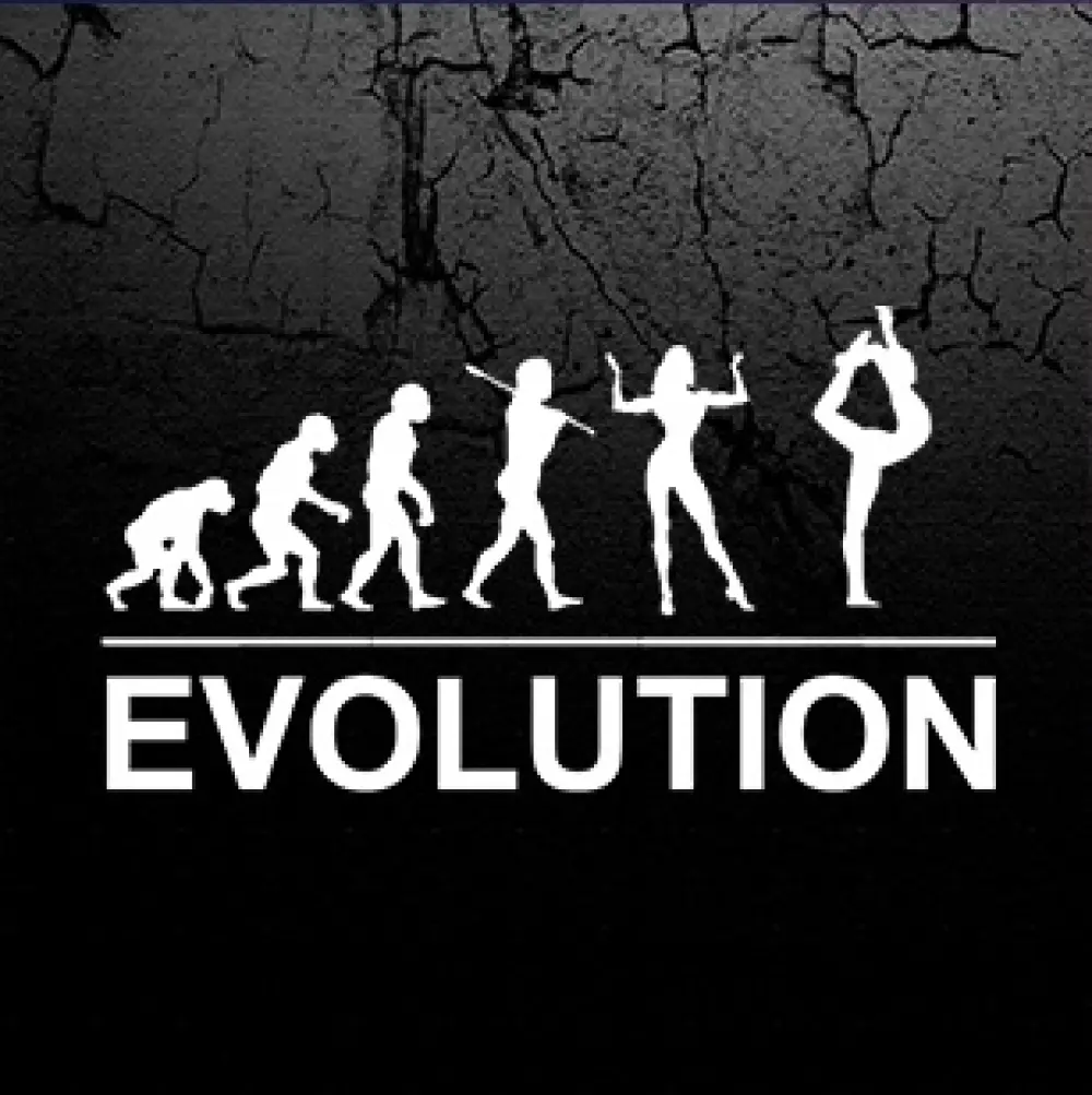 Школа воздушной гимнастики и фитнеса "Evolution"