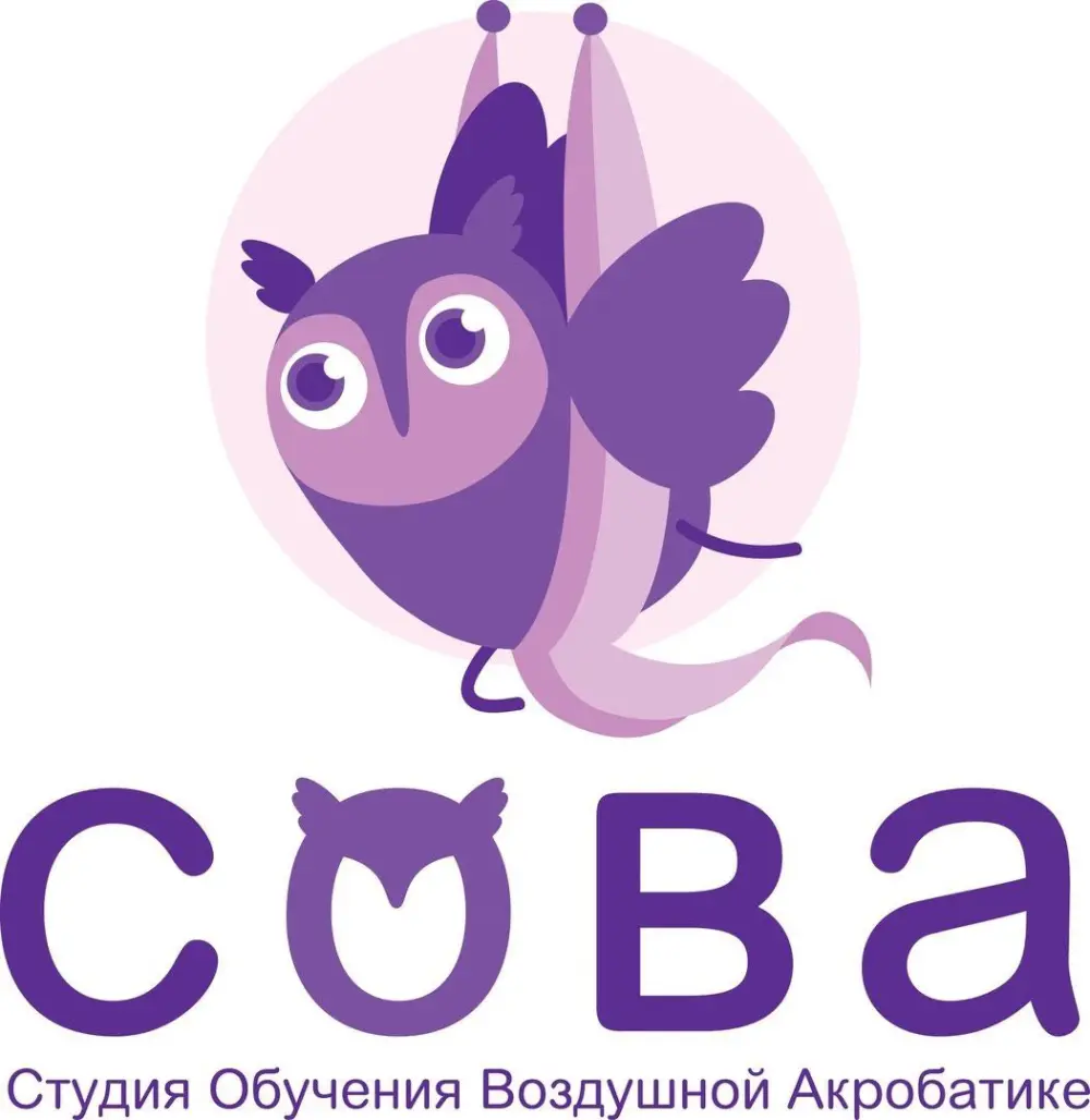 С.О.В.А Студия обучения воздушной акробатике (Филиал Реутов)