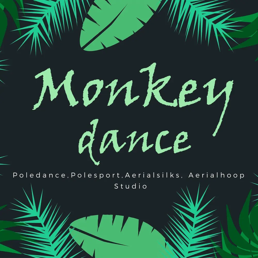 Студия "Monkey"