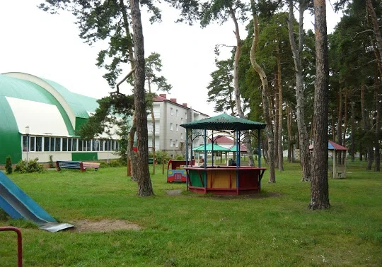 Тренировочные сборы по пилонному спорту и воздушной гимнастике "Свежий воздух"