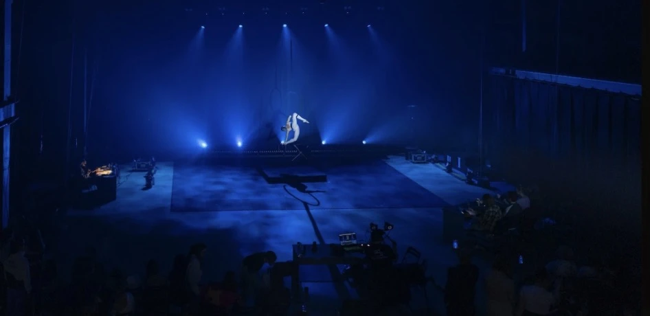 Арт-чемпионат по пилону и воздушной гимнастике "SN Artistic Championship"