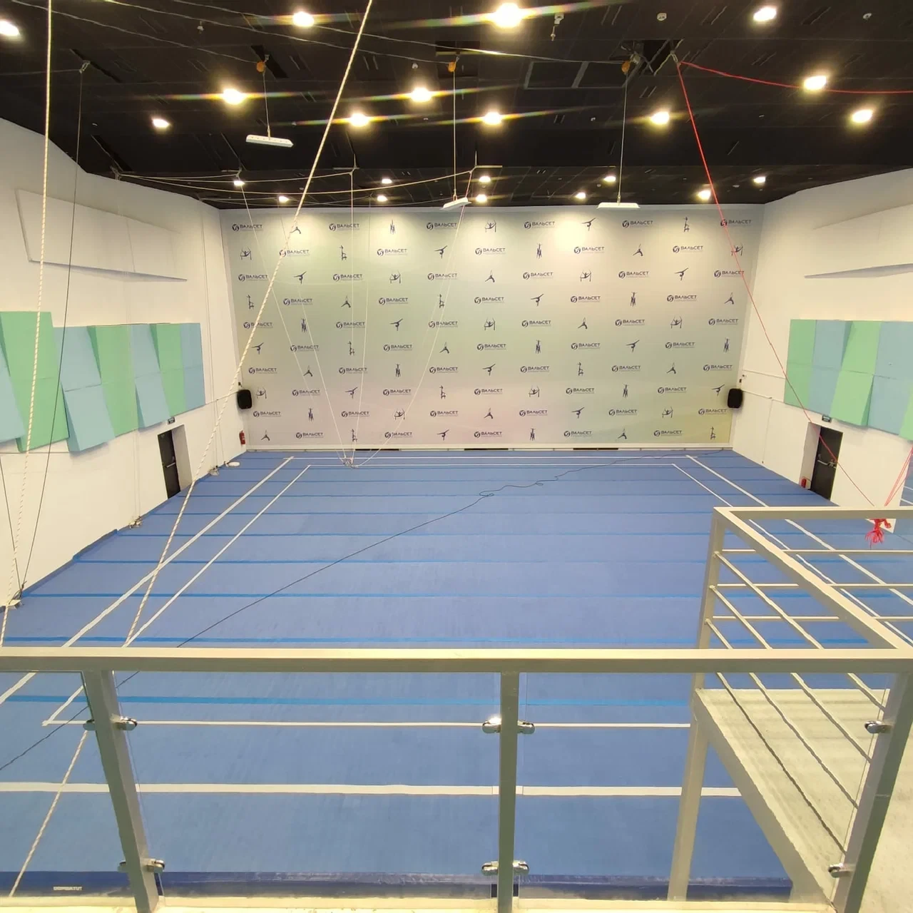 Арт-фестиваль воздушной гимнастики "Ветер в волосах"