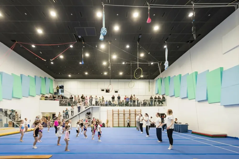 Арт соревнования по воздушной гимнастике "Кубок Вальсет"