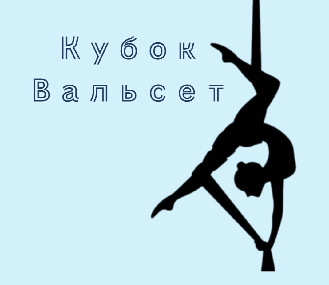 Арт соревнования по воздушной гимнастике "Кубок Вальсет"