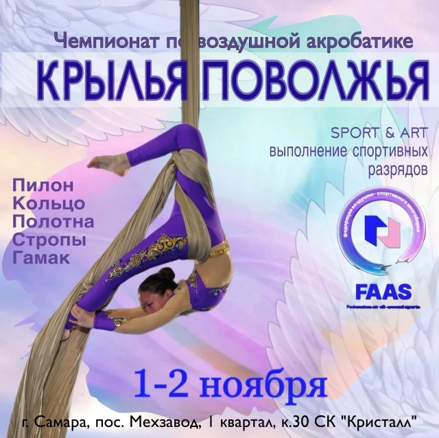Чемпионат по воздушной акробатике "Крылья Поволжья"