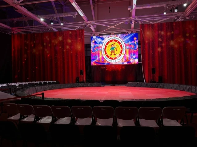 Фестиваль-конкурс детских любительских цирковых коллективов имени Михаила Шуйдина