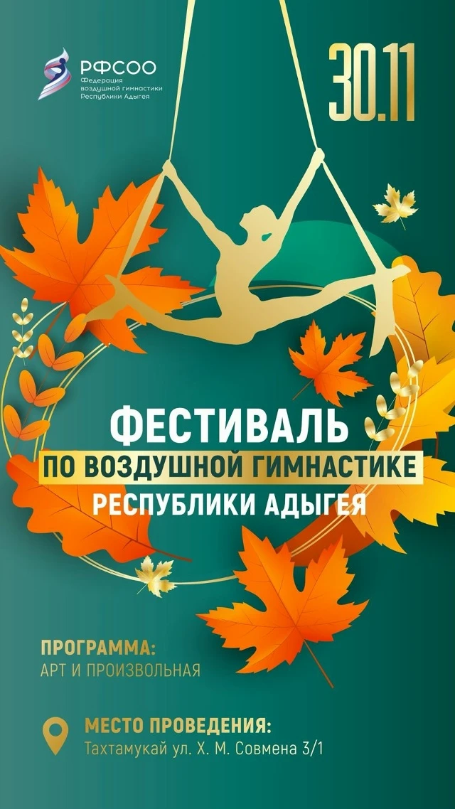 Фестиваль по воздушной гимнастике "Фест Адыгея 2025"
