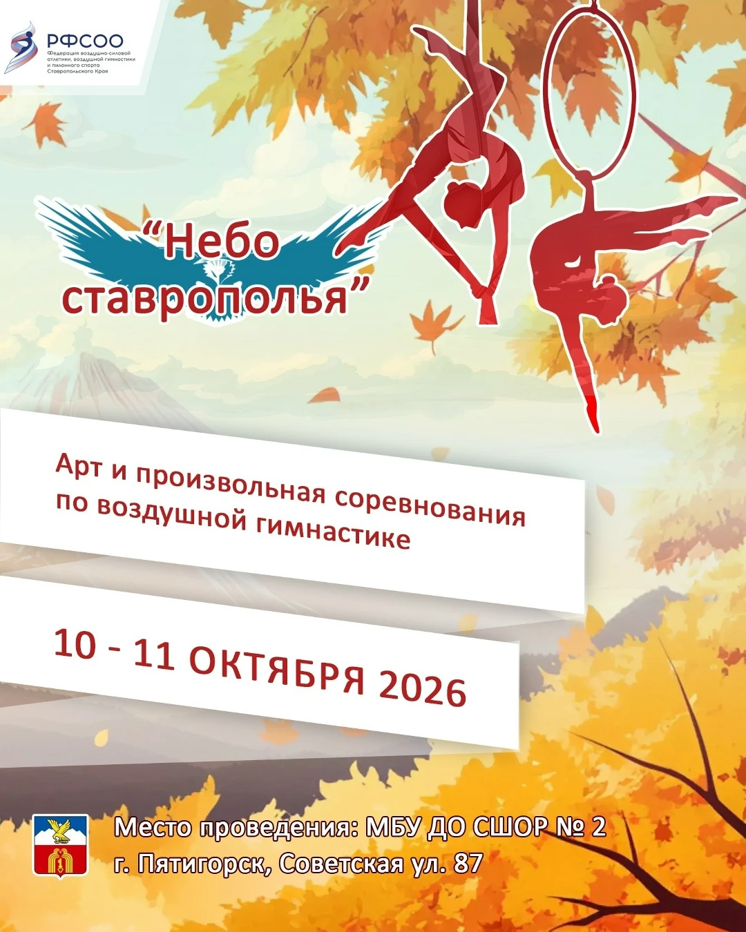 Фестиваль по воздушной гимнастике "Небо Ставрополья"