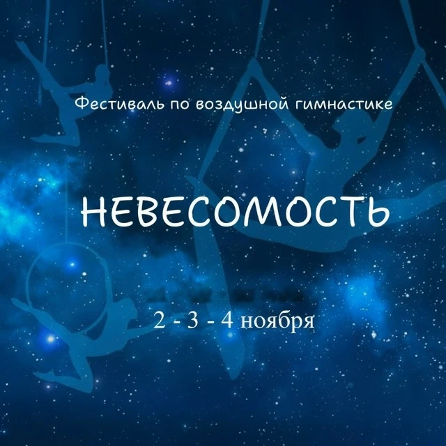Фестиваль воздушной гимнастики "Невесомость"