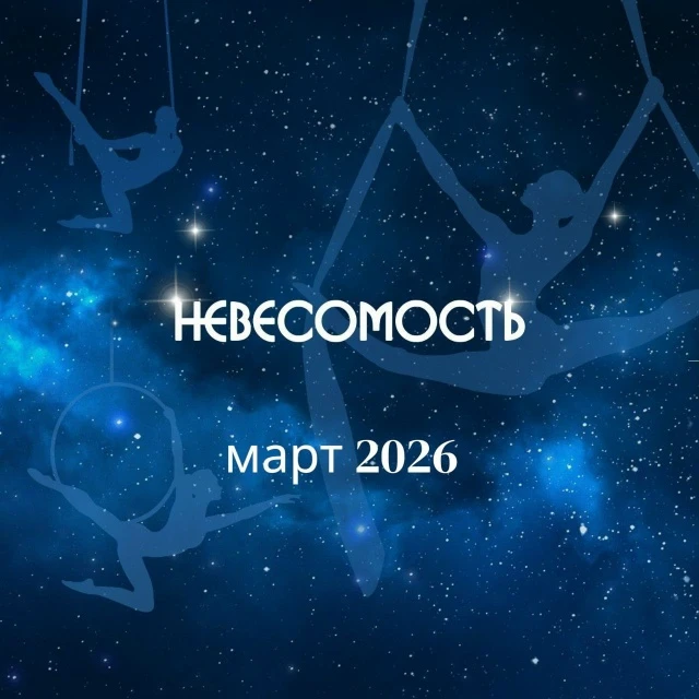 Фестиваль воздушной гимнастики "Невесомость"