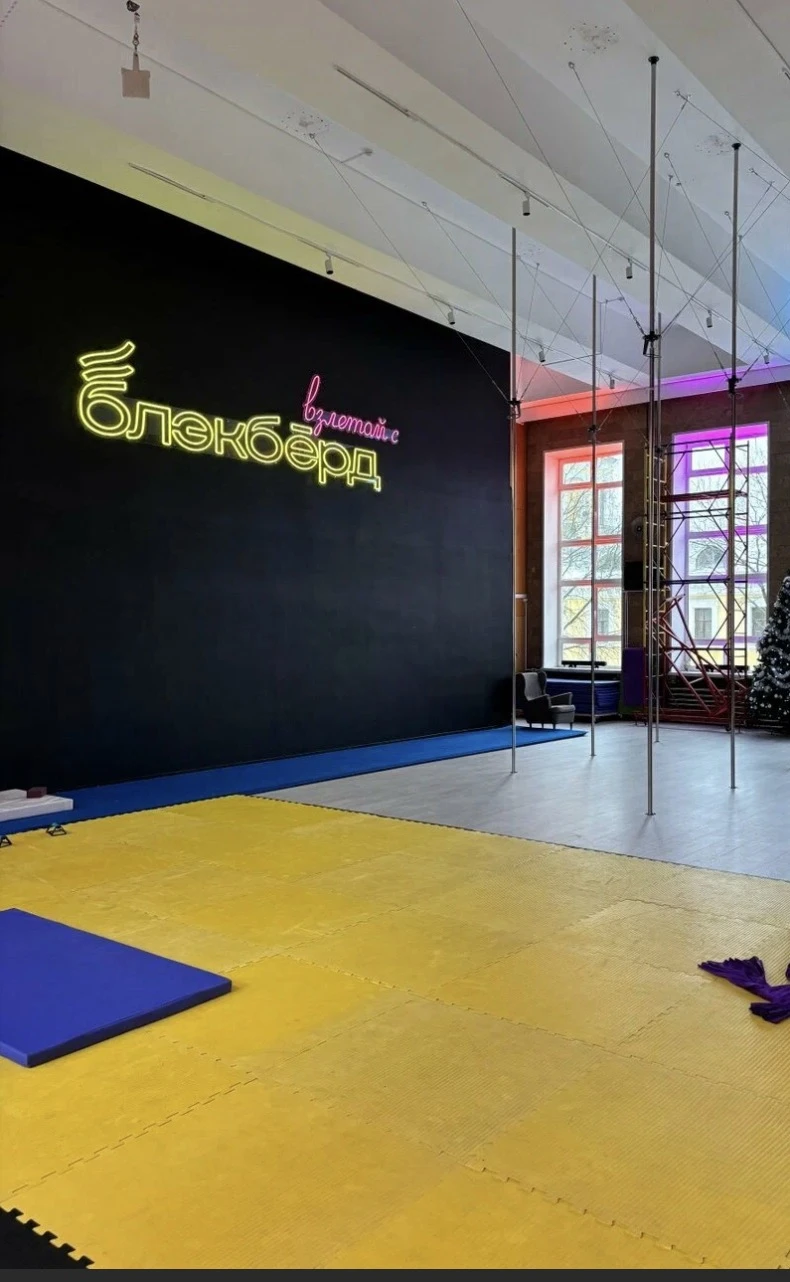 Фестиваль воздушной гимнастики "Взлетай"