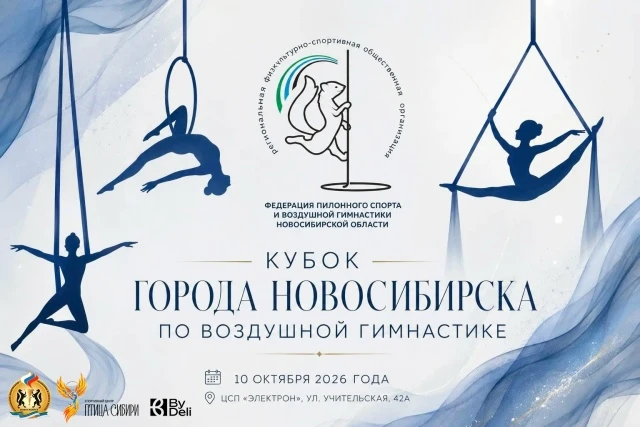 Кубок города Новосибирска по воздушной гимнастике