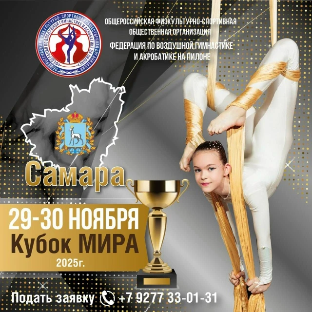 Кубок Мира 2025 по воздушной гимнастике и акробатике на пилоне