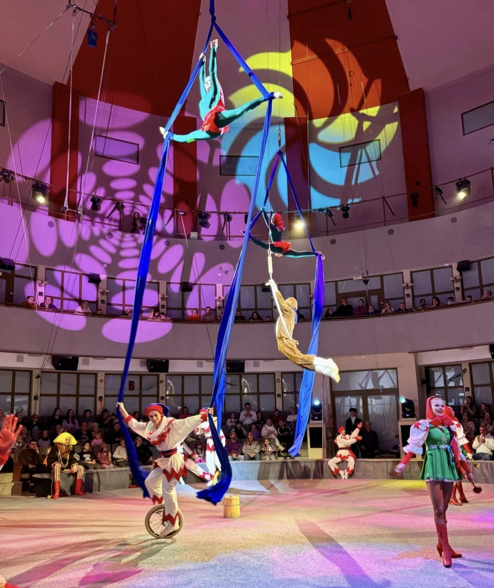 Международный фестиваль циркового искусства "Моя мечта - манеж"