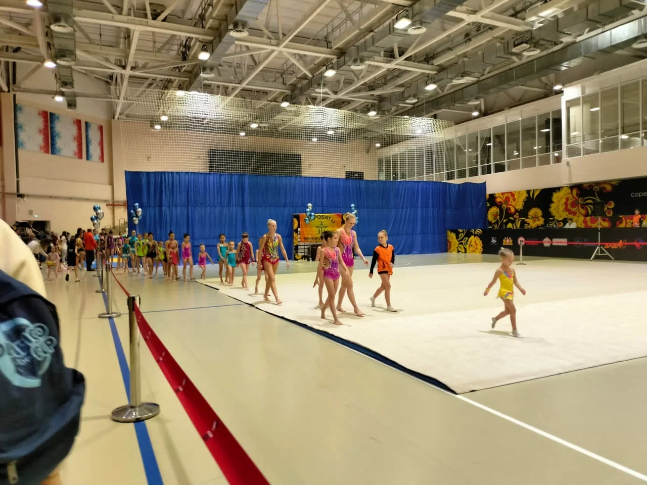 Областные соревнования по воздушной гимнастике и спортивный фестиваль "Зимний турнир Федерации"