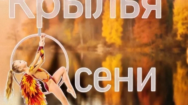 Открытые областные соревнования по воздушной гимнастике "Крылья осени"