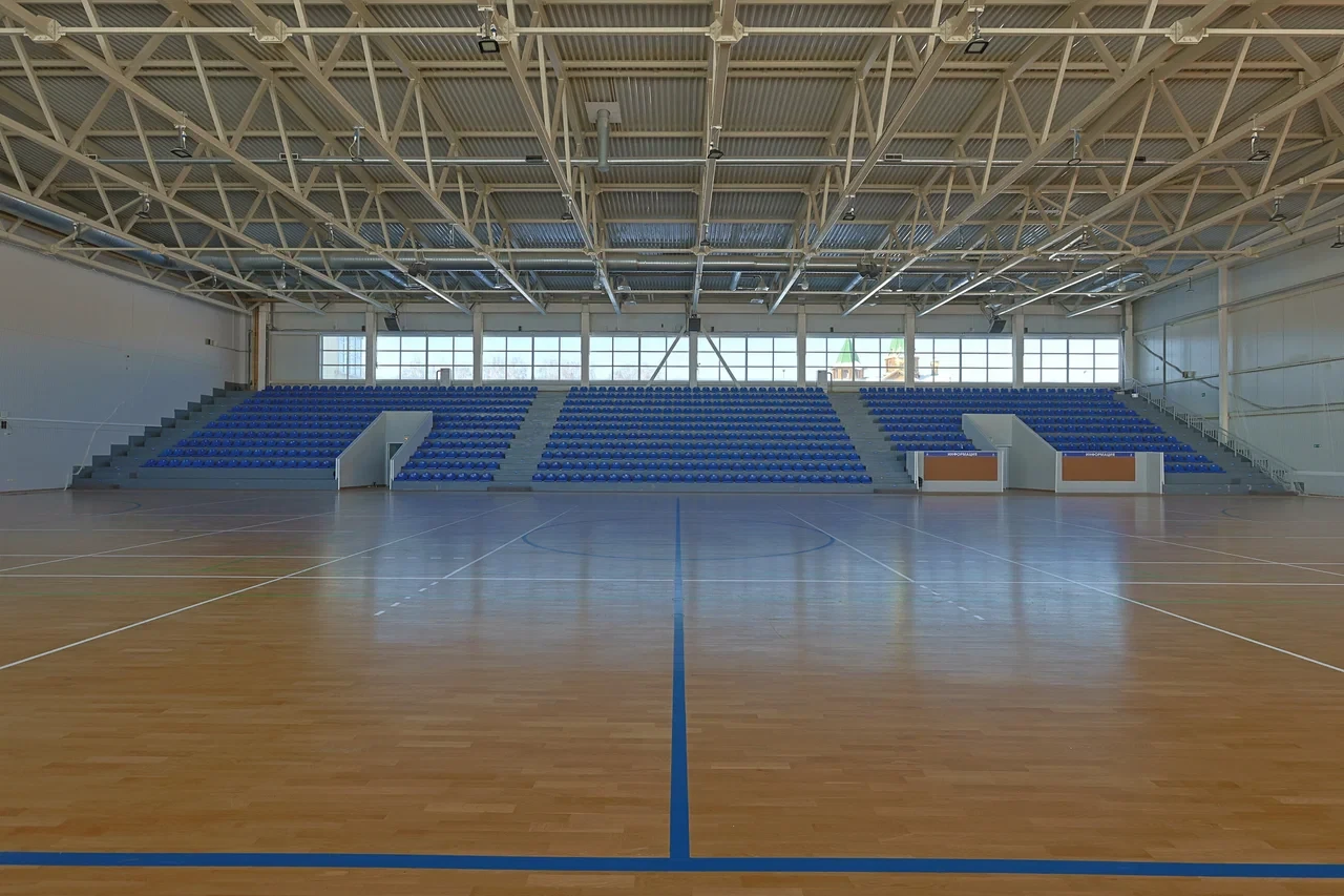 Первенство и Фестиваль Нижегородской области по воздушной гимнастике