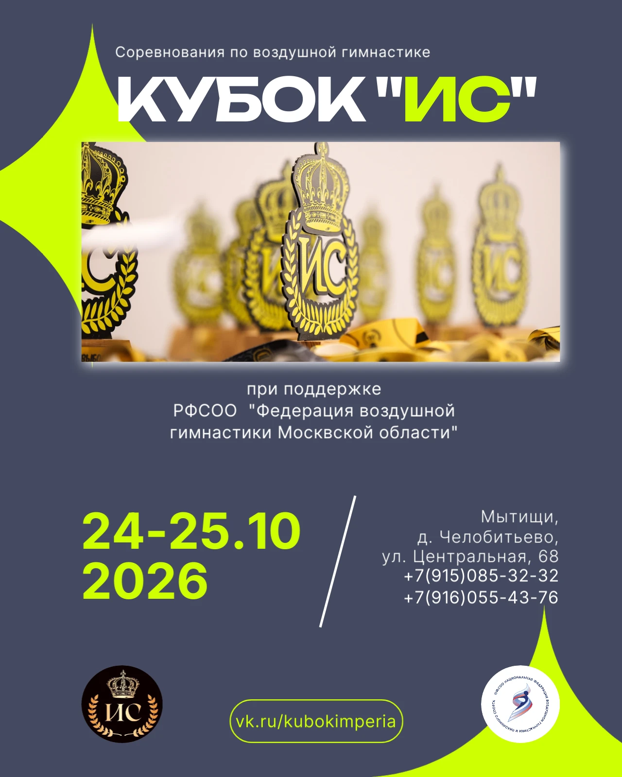 Соревнования по воздушной гимнастике "КУбок ИС"