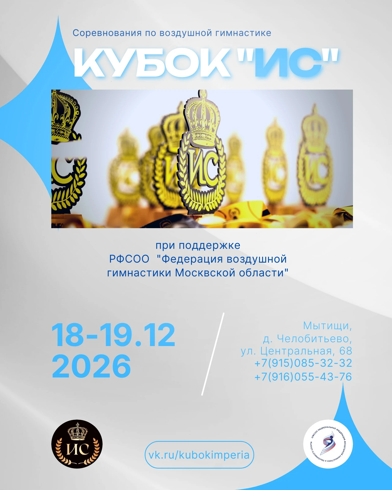 Соревнования по воздушной гимнастике "Кубок ИС"