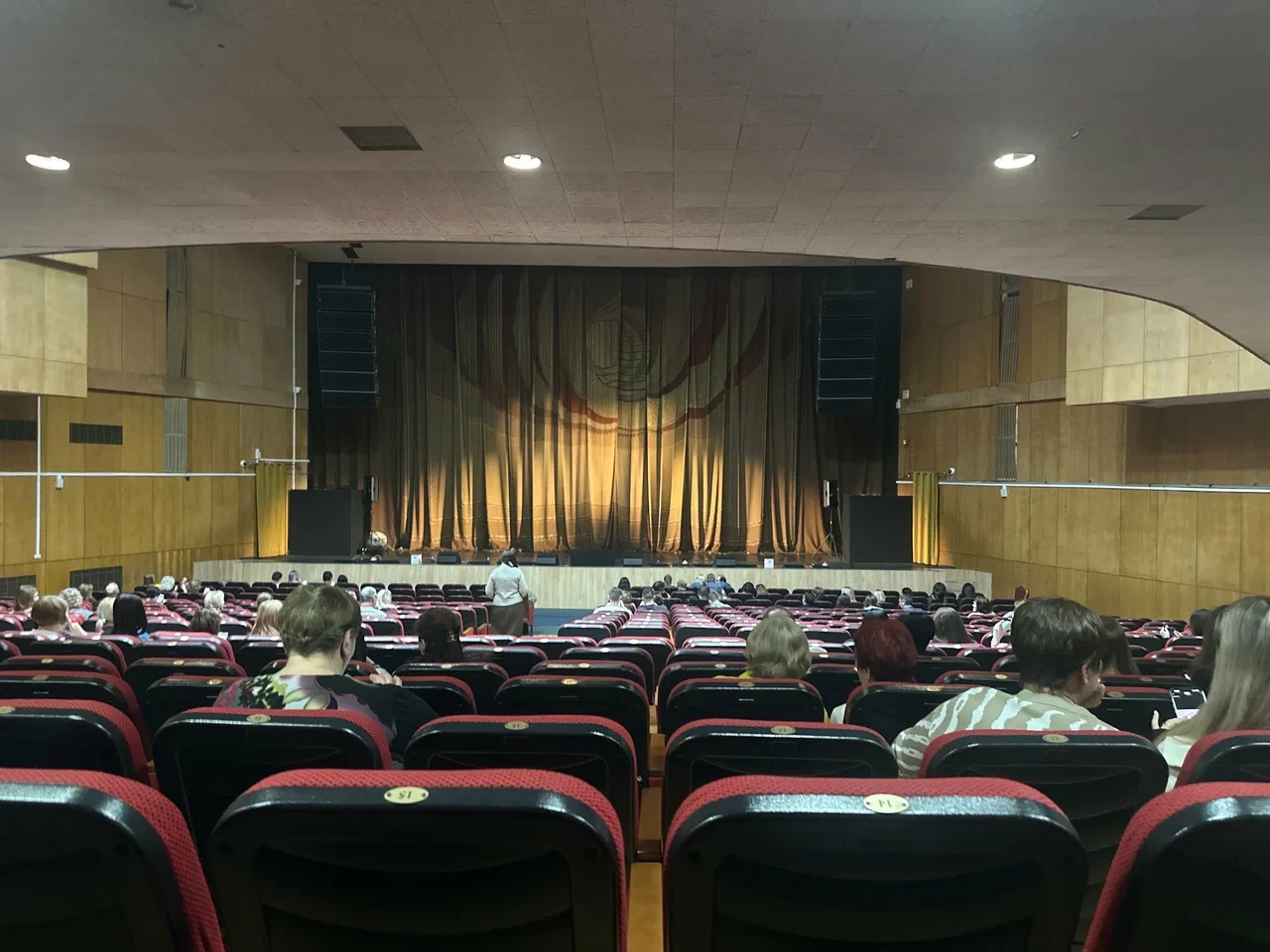 Шуточный фестиваль по воздушной гимнастике "Гусь-фест"