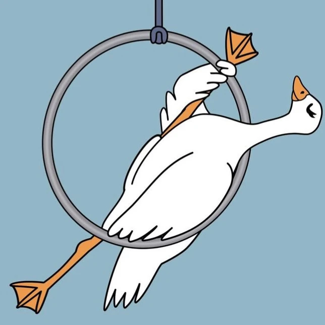 Шуточный фестиваль по воздушной гимнастике "Гусь-фест"