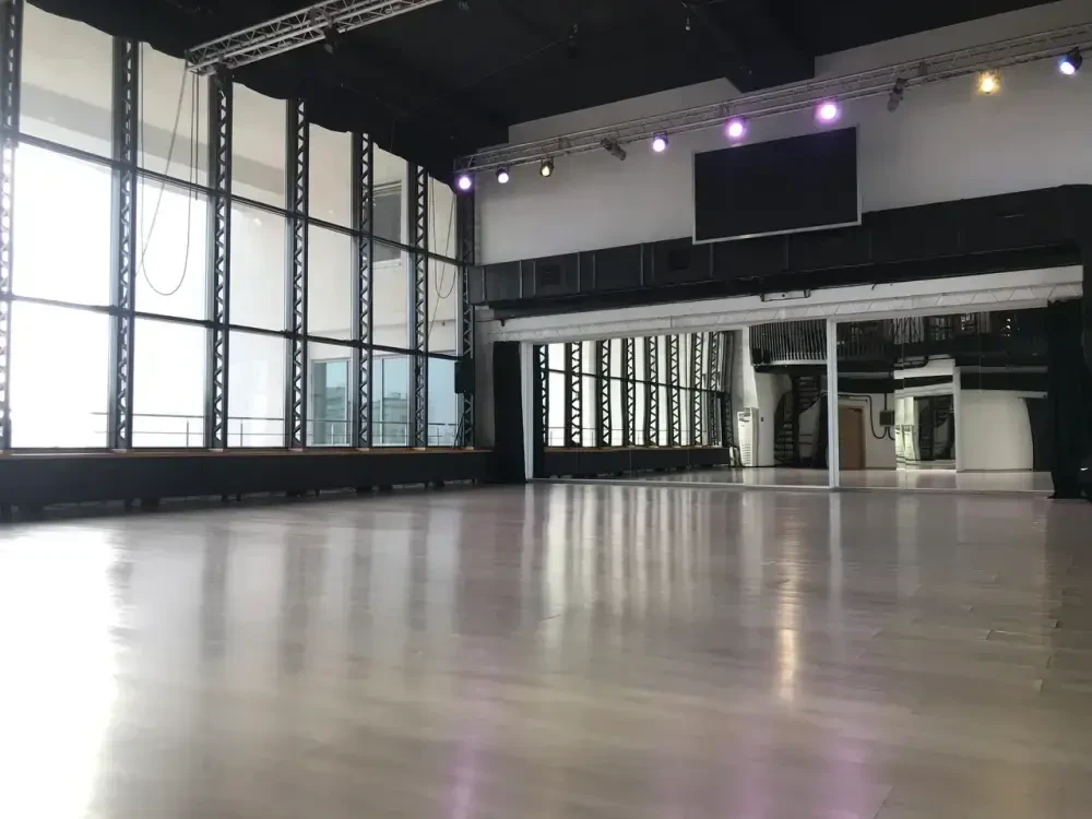 Танцевальная премия "Danza"