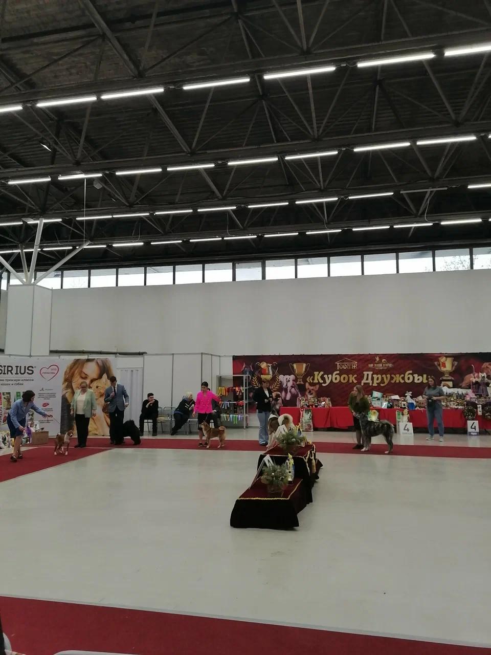 Турнир по воздушной гимнастике "Тюмень сильная"