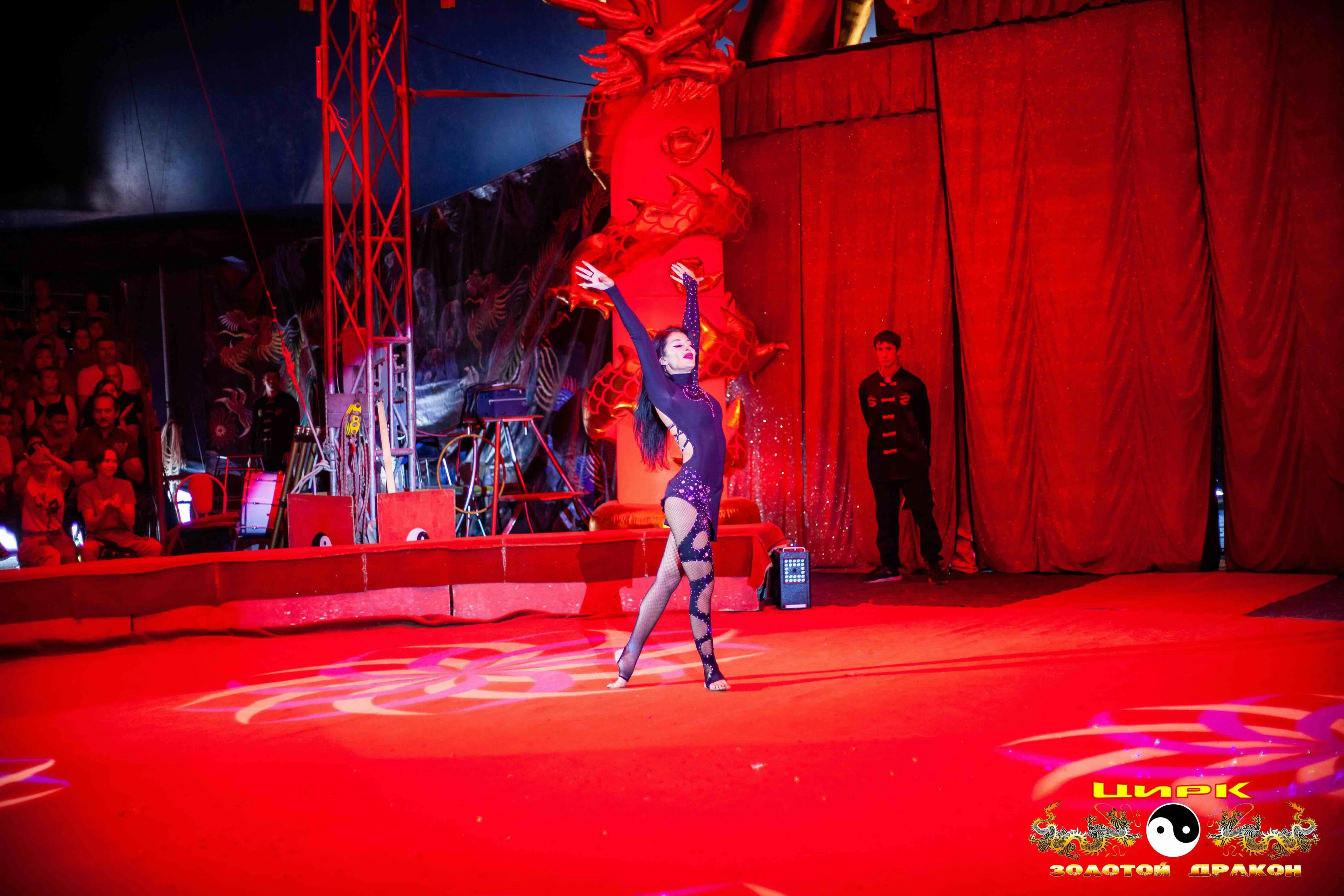 VI Международный фестиваль-конкурс любительского циркового искусства "Вселенная цирка"