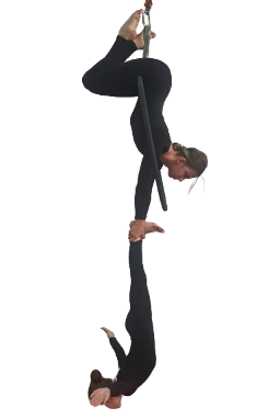 AHDP8