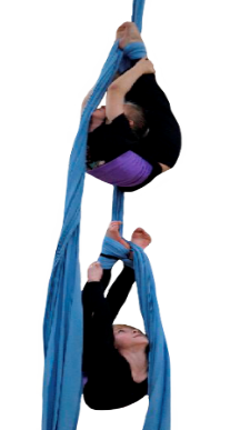 ASDF26