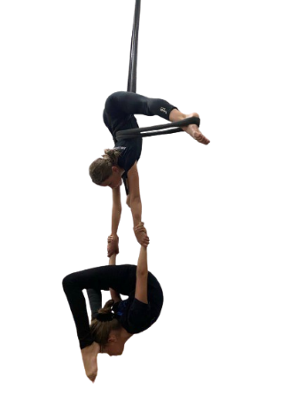 SDF8