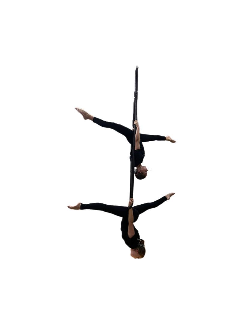 SDP7