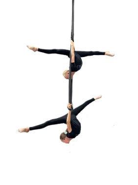 SDP10