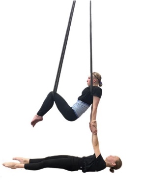 SDP24