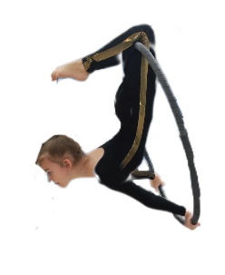AHP4