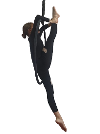 AHP17